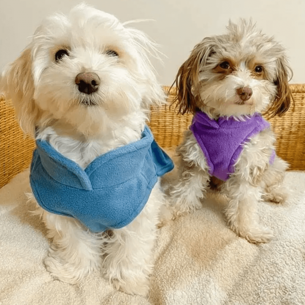 Soft Fuzzy Dog Jacket
