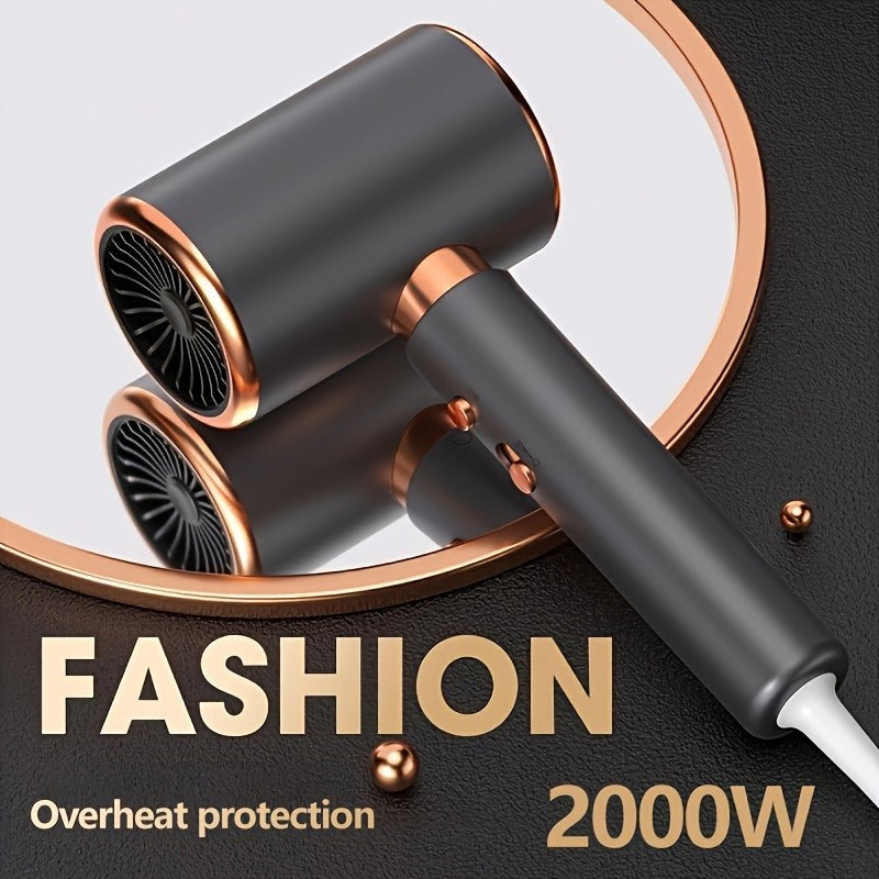 Powerful 2000W Salon Hair Dryer with Dual Air Settings