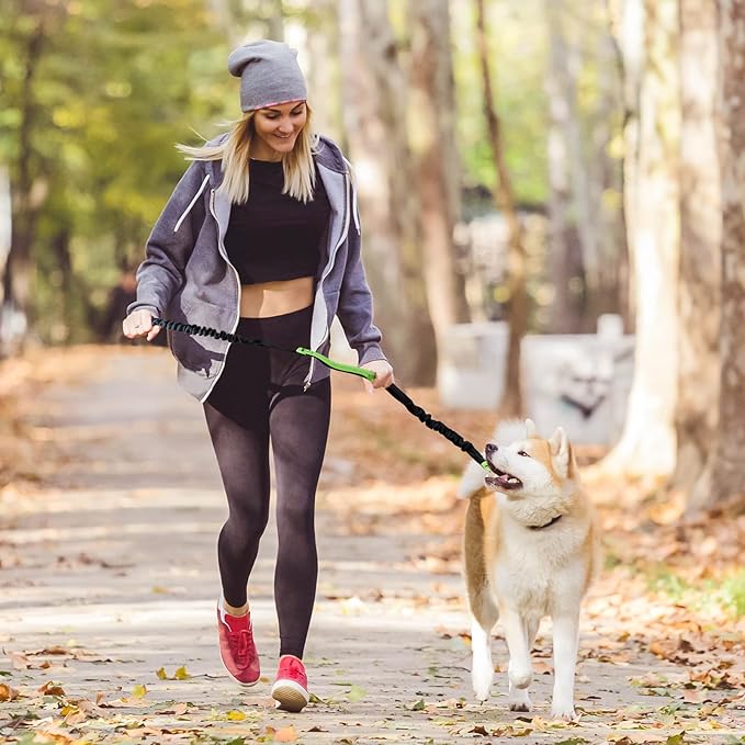 Easy Walk Dog Harness