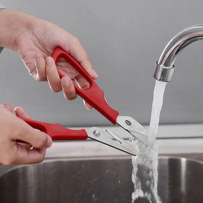 Premium Ocean Food Scissors