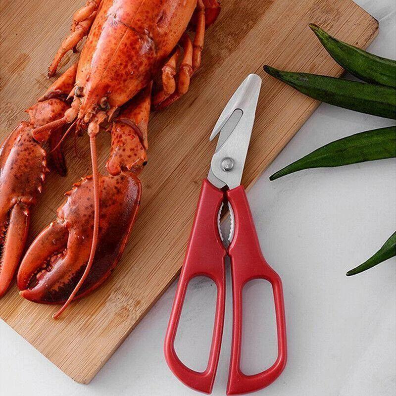 Premium Ocean Food Scissors