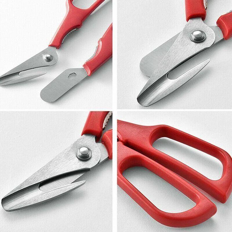 Premium Ocean Food Scissors