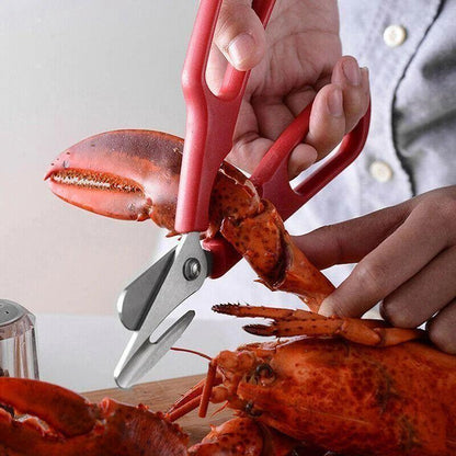 Premium Ocean Food Scissors