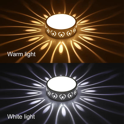 Elegant Bright LED Ceiling Lamp for Home