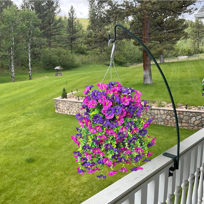 Colorful Outdoor Morning Glory Planter