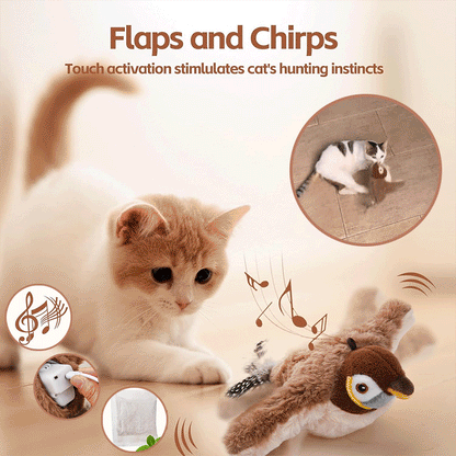 Fun Interactive Cat Toy