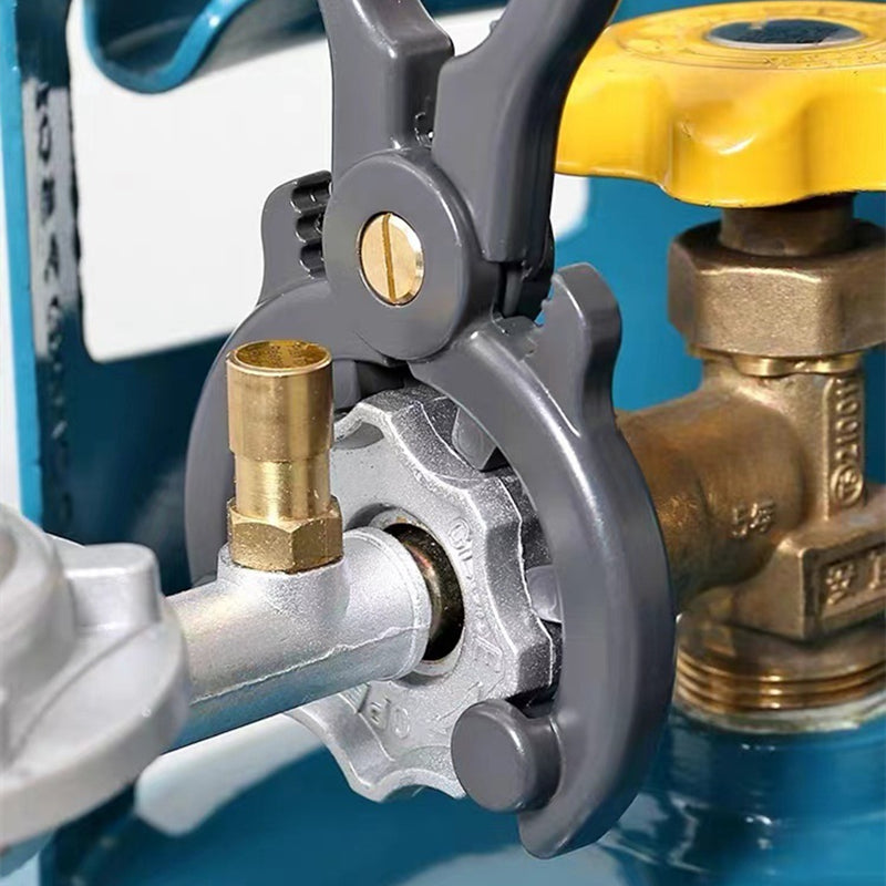 Fesara | Fuel Pressure Relief Tool Kit