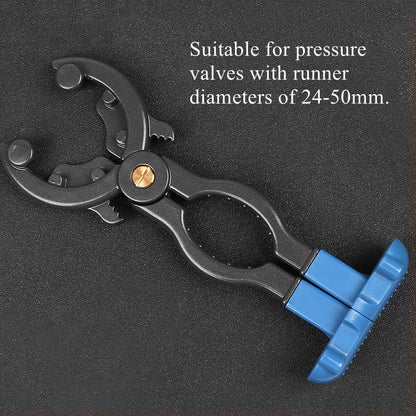 Fesara | Fuel Pressure Relief Tool Kit