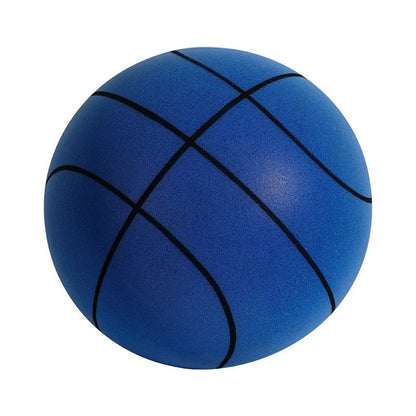 Indoor Low Noise Basketball