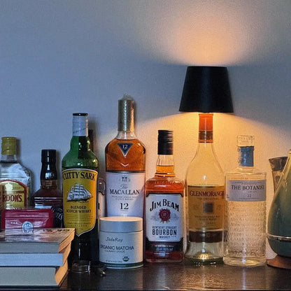 Portable LED Bottle Light Kit