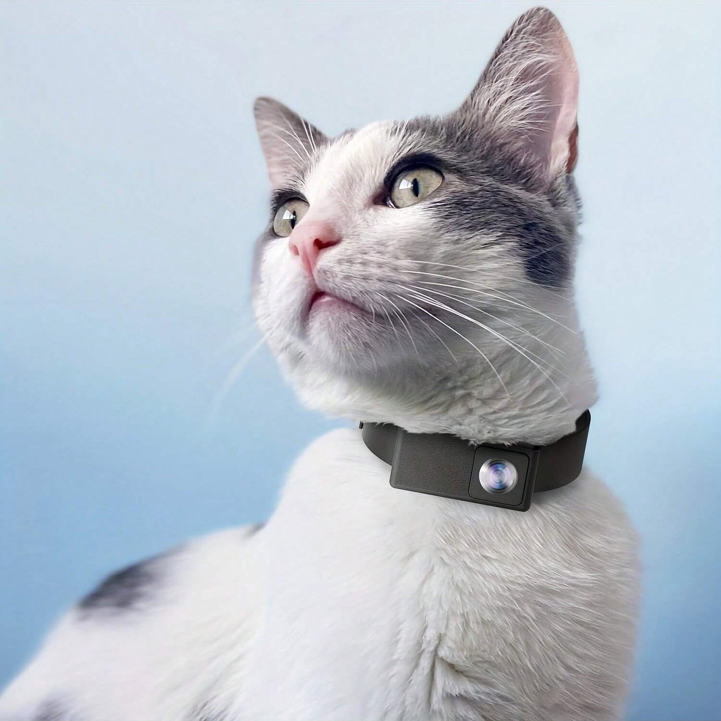 Wireless Pet Cam with 1080P HD Video for Cats & Dogs - Fesara