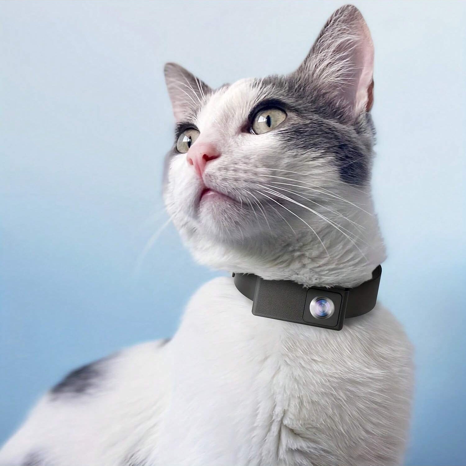 Wireless Pet Cam with 1080P HD Video for Cats & Dogs - Fesara