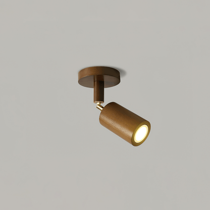 Asian Style Dimmable LED Spot Light Fixture
