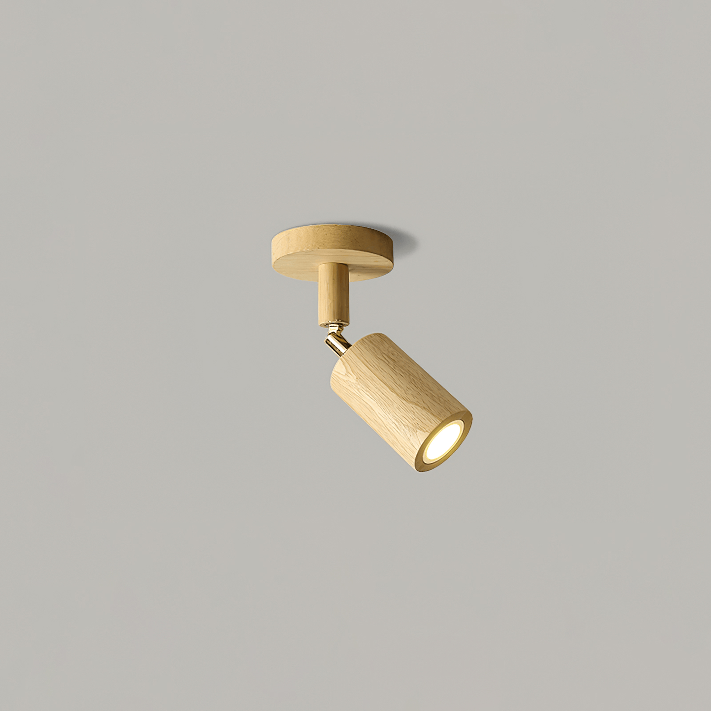 Asian Style Dimmable LED Spot Light Fixture - Fesara