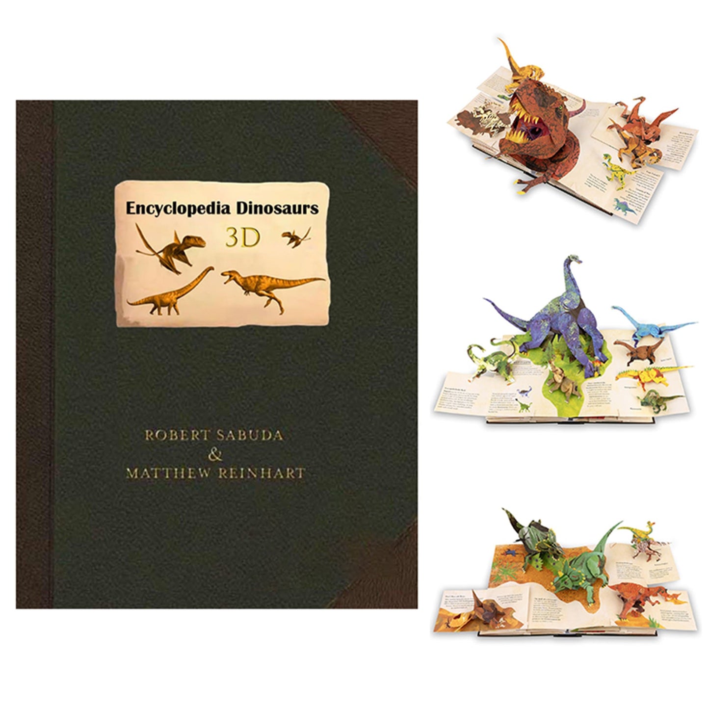 Dinosaur Knowledge Book - Fesara