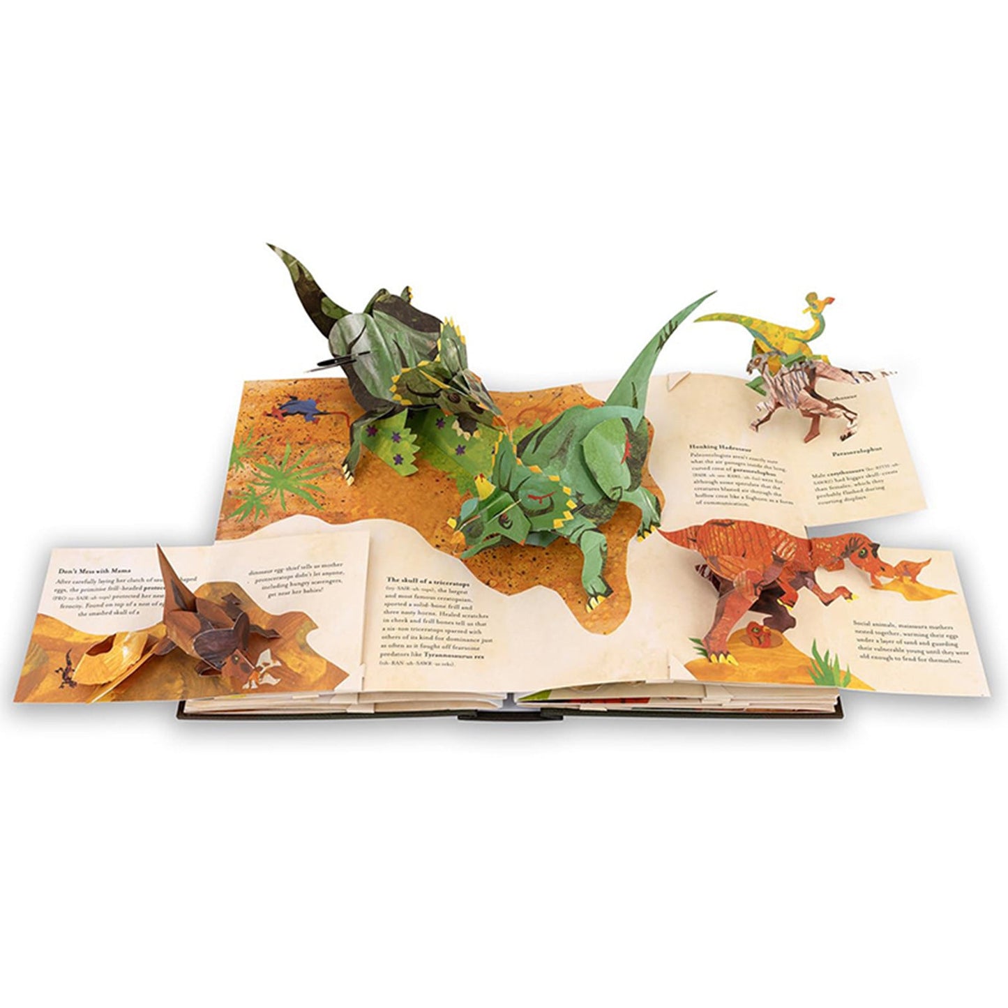 Dinosaur Knowledge Book