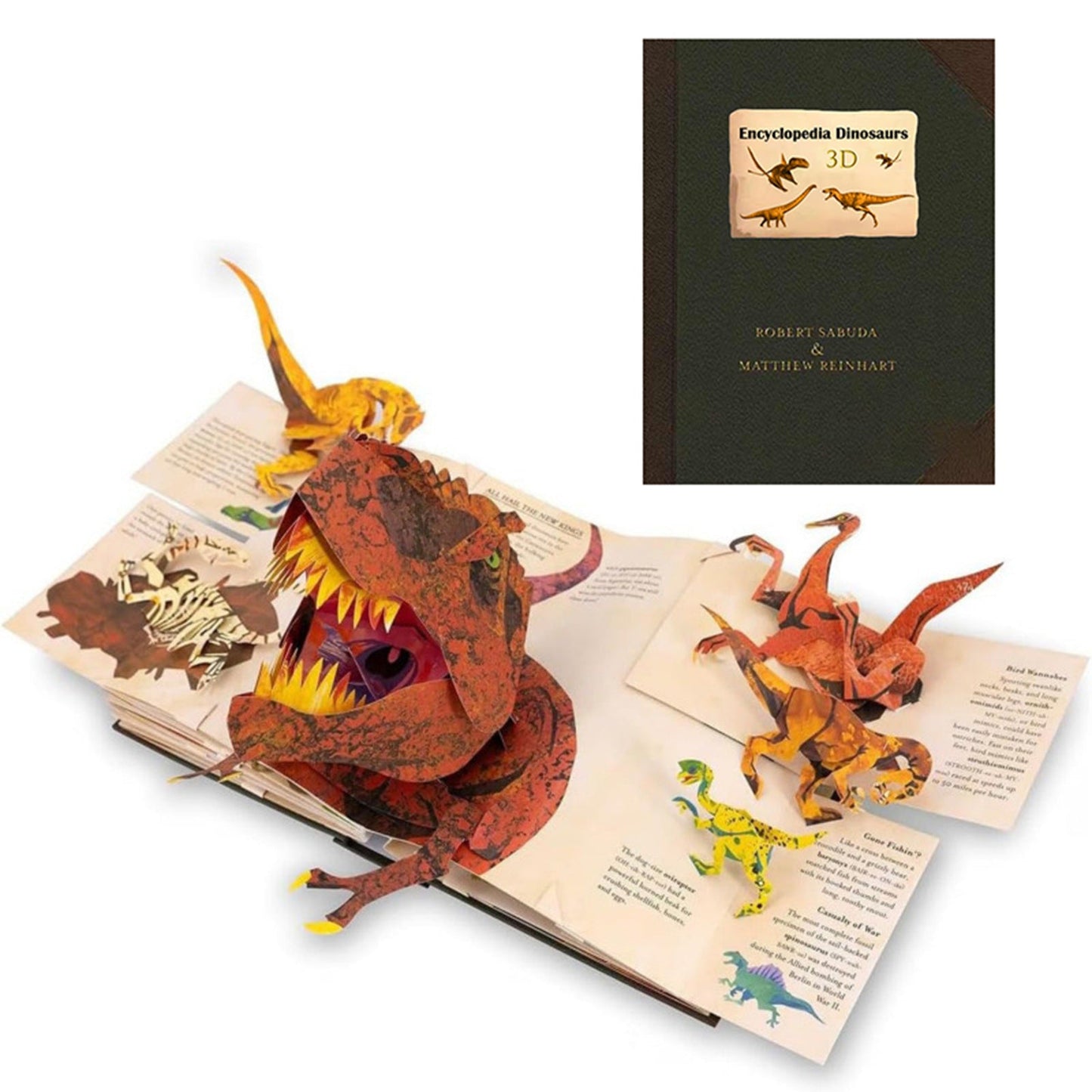 Dinosaur Knowledge Book