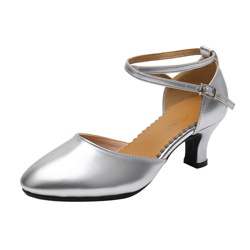 Comfortable Latin Dance Shoes Low Heel Practice Shoes