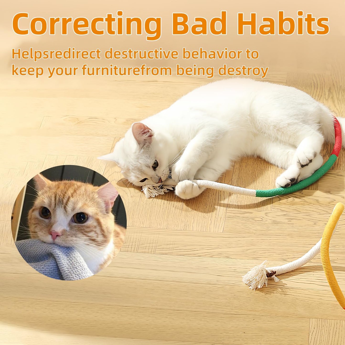 Fun Interactive Cat Toy - Fesara