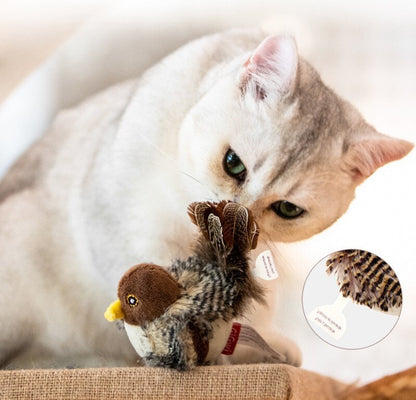 Fun Interactive Cat Toy