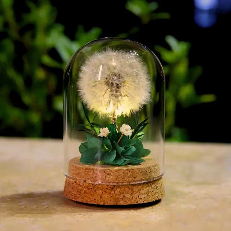 Soft Glow Bedroom Night Light