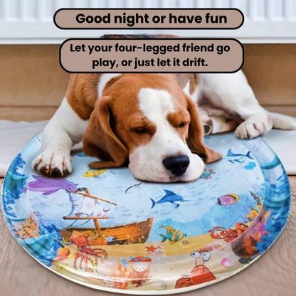 Fun Cat Interactive Toy