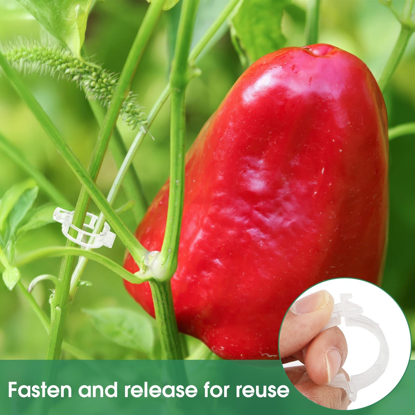 Easy Use Tomato Plant Clips