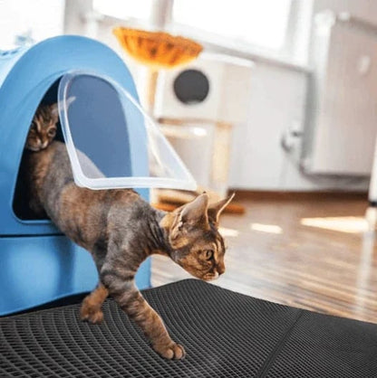 Easy Clean Litter Box Tray