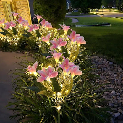 Colorful Solar Powered Garden Lights