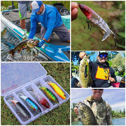 Fesara | Spinning Lure Fishing Bait