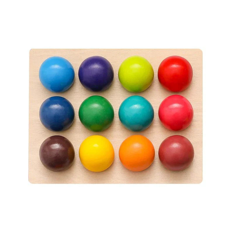 Colorful Learning Toy Sorting Game - Fesara
