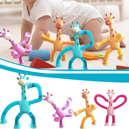 Fun Interactive Pet Toy