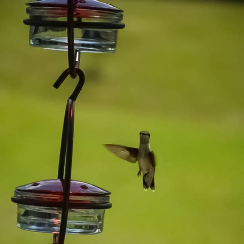 Stylish Bird Shaped Metal Water Dispenser