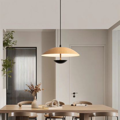 Metallic Hanging Pendant Light