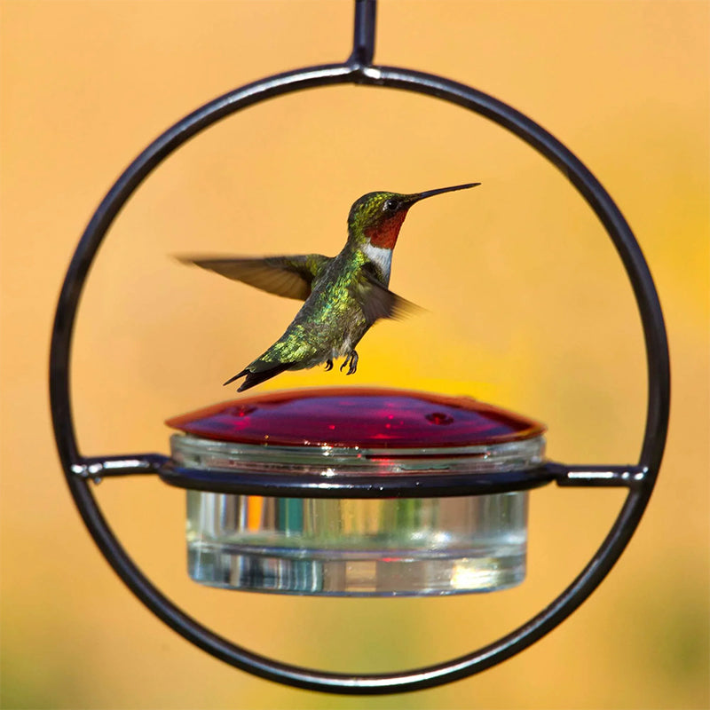 Stylish Bird Shaped Metal Water Dispenser
