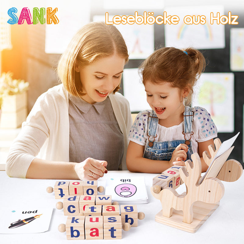 Wooden Educational Reading Blocks