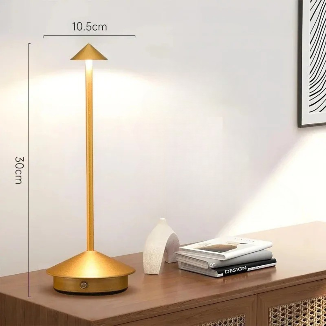 Contemporary Metal Desk LED Portable Table Light