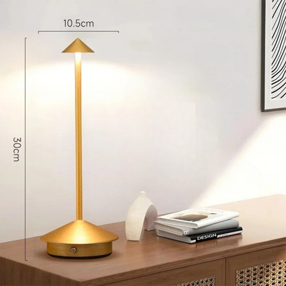 Contemporary Metal Desk LED Portable Table Light