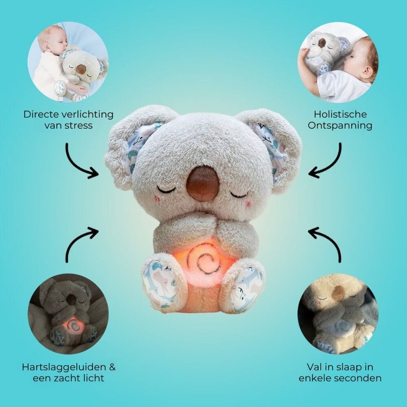 Soft Plush Teddy Bear Friend