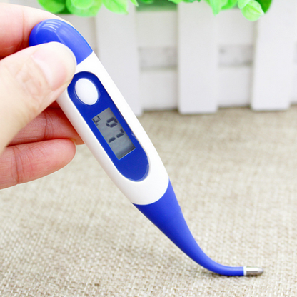 Accurate Digital Waterproof Thermometer