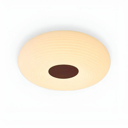 Stylish LED Ceiling Fixture