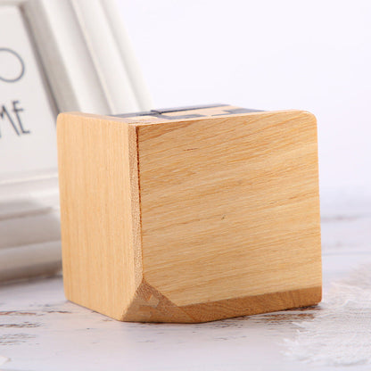 Classic Wooden Puzzle Brain Game