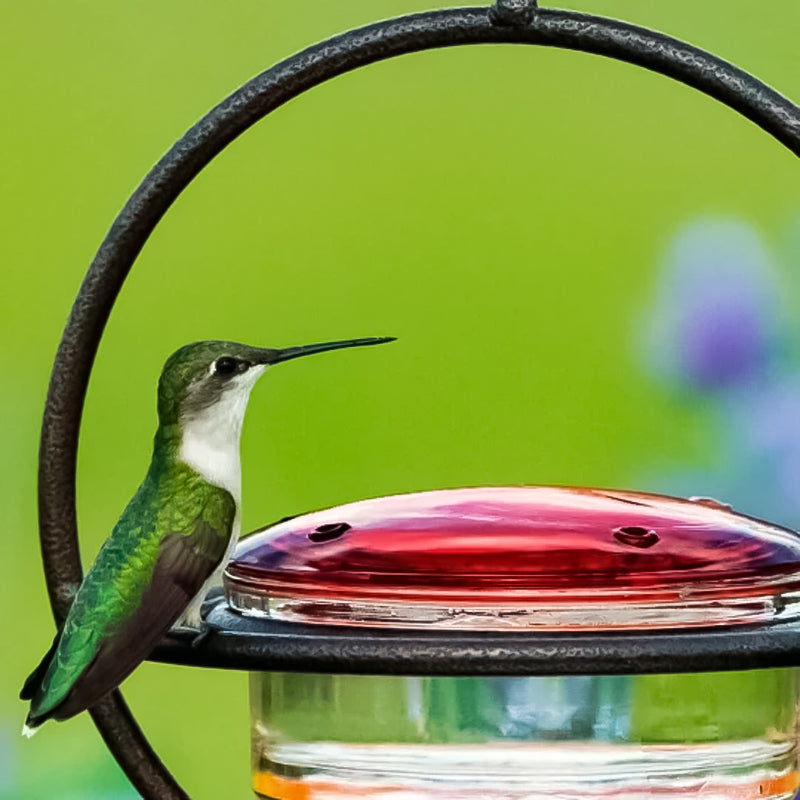 Stylish Bird Shaped Metal Water Dispenser