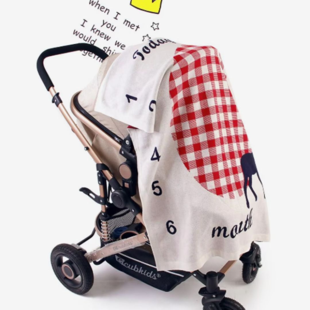 Personalized Baby Photo Blanket with Monthly Markers