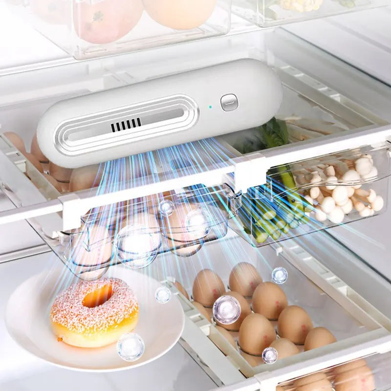 Mini Air Cleaner and Fridge Freshener - Fesara