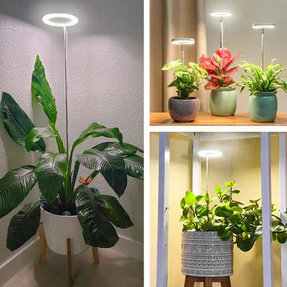 Smart LED Plant Light with Timer and USB Charging