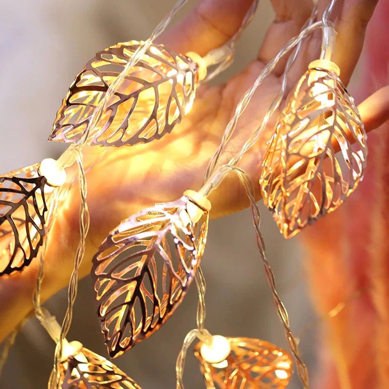 Delicate String Fairy Lights