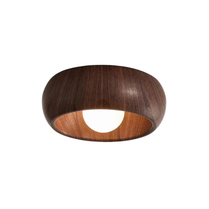 Simple Elegant Overhead Light Fixture
