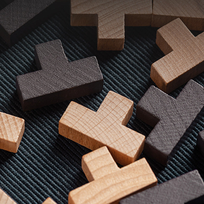 Classic Wooden Puzzle Brain Game
