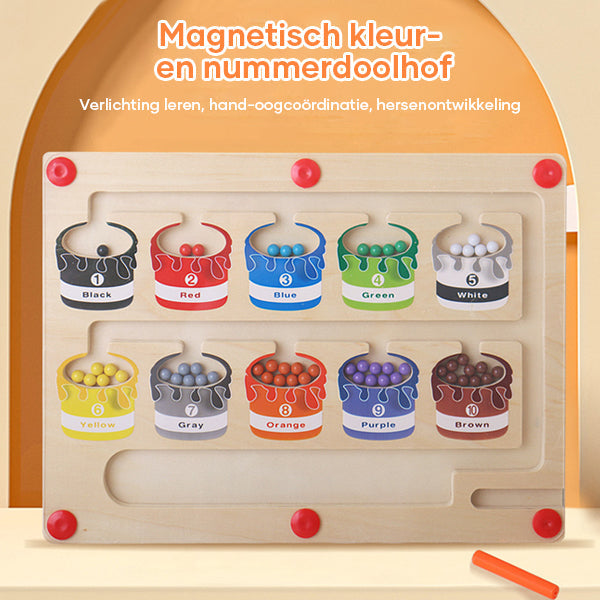Fun Learning Magnetic Maze Board